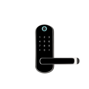 Khóa vân tay NKB04 | Thay thế tay nắm tròn