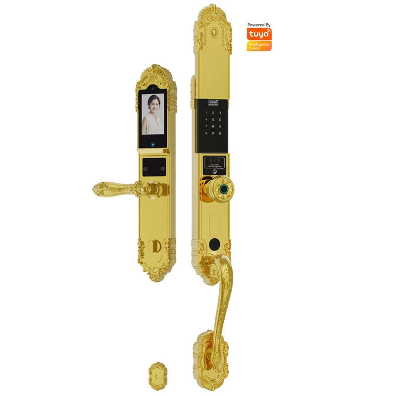 Khóa cửa gỗ FaceID Kandor KN-GID10