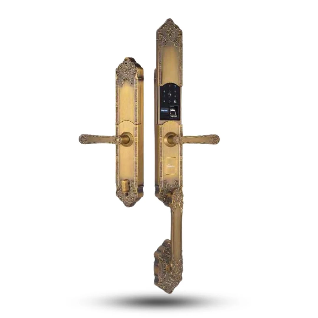 Khóa thông minh Đại sảnh EL819 GB - APP WIFI