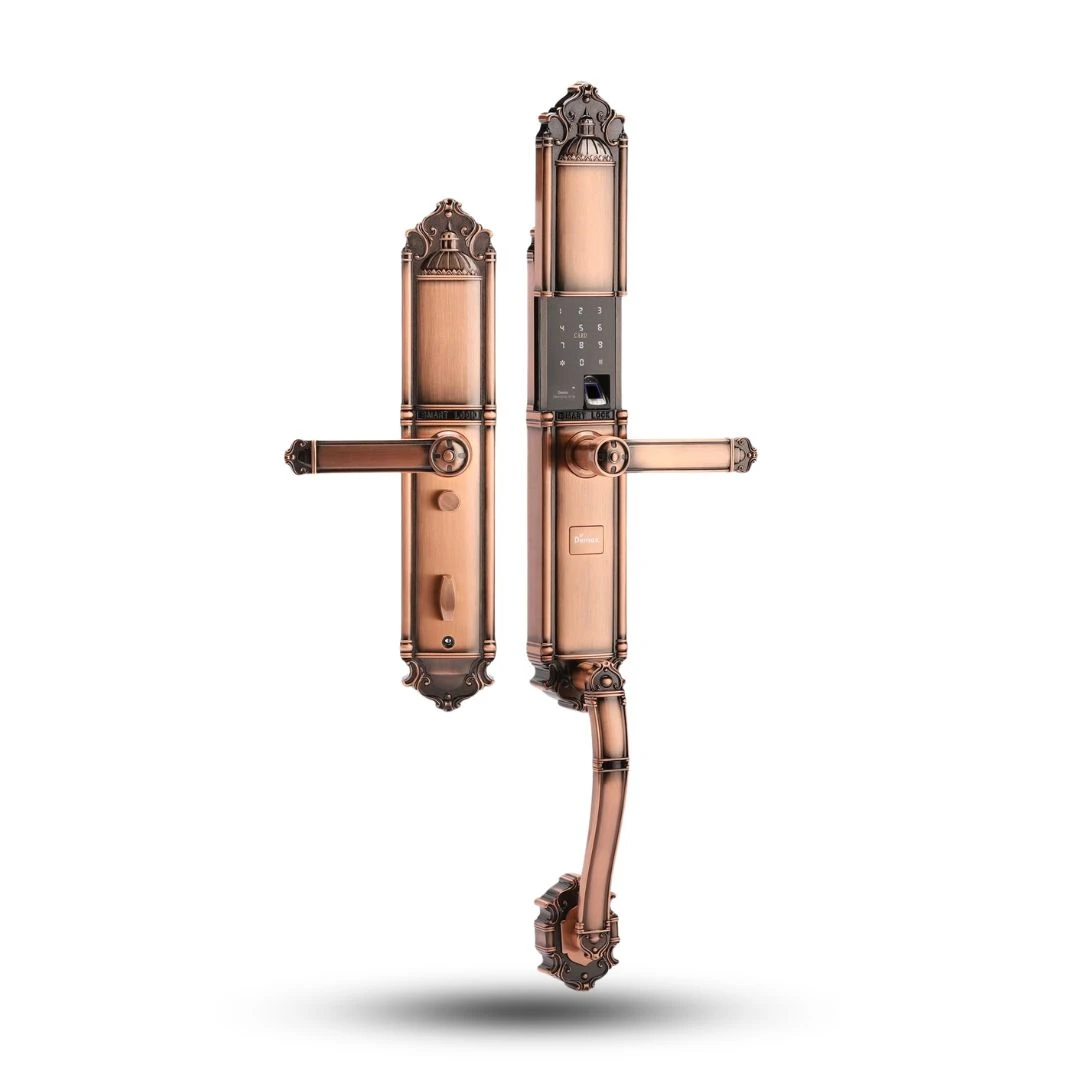 Khoá cửa đại sảnh SL821 AC